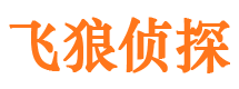 大武口市侦探公司